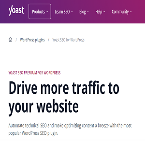 Yoast - LeadYogis