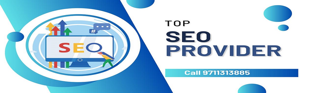 Top SEO Provider in Delhi